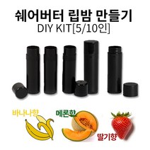 쉐어버터 립밤만들기 DIY키트 스틱타입 5인/10인, 10인-메론향, 1세트