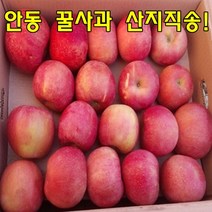 안동 산지직송 꿀사과 부사사과, 1박스, 가정용흠과5kg중과(15과-20과)