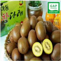 하동 참다래농원 골드키위 (소~왕특) (2kg 3kg 5kg ), 1box, 3kg (중과)38개~50개