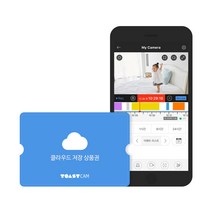 토스트캠 V2 홈CCTV IP카메라, 클라우드 30일저장 12개월 상품권