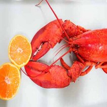 캐나다 직수입 자숙 랍스터1마리 350-400g, 1마리, 350g~400g