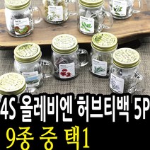4S 올레비엔 내츄럴 허브티백 5P 10종중 택1, 페퍼민트 013101