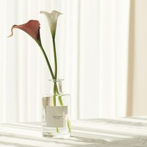 데일리미소 인테리어 실내방향제 디퓨저 240ml대용량, 무드등세트.카라꽃자주색-블랙머스크