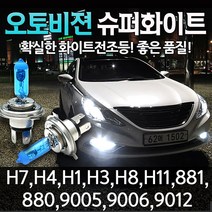 오토오토 오토비젼 5000K 화이트 전조등, 오토비젼 벌크 881 (두개한세트), 1세트