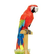필맥스 펫 애완동물 종이공예, 금강앵무