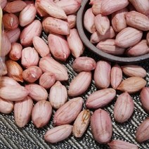 FUNET 국산 햇 생땅콩 볶음땅콩 1kg, 1팩, 생땅콩500g