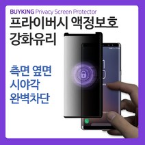 BUYKING 갤럭시S9 플러스 프라이버시 액정보호 풀커버 강화유리 사생활보호, 1개