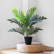 NEW 아레카야자 인테리어 조화 나무(60cm), 무광 인테리어 화분(중)-화이트, 축하합니다 리본 추가