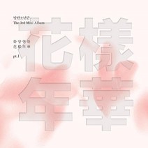 1CD_방탄소년단(BTS)-미니3집[화양연화 Pt.1](핑크버젼)/랩몬스터/슈가/진/제이홉/지민/뷔/정국, 1