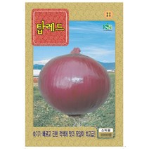 씨앗 양파 탑레드 양파 1000립
