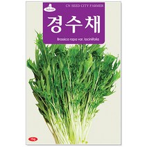 청농종묘 청겨자 씨앗 2000립 채소씨앗 겨자씨앗 상추씨앗, 25_경수채(15g)