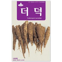 청농종묘 적겨자 씨앗 2000립 채소씨앗 겨자씨 씨 쌈채소씨앗, 19_더덕(1500립)