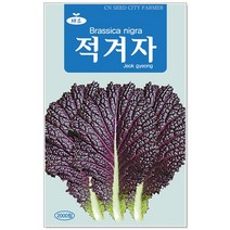 청농종묘 적환20일무 씨앗 600립 - 붉은무 빨간무 래디시 씨, 03_적겨자(2000립)
