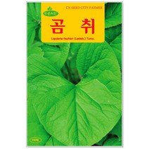 청농종묘 더덕 씨앗 1500립 더덕씨앗 더덕씨 산나물 씨, 17_곰취(100립)