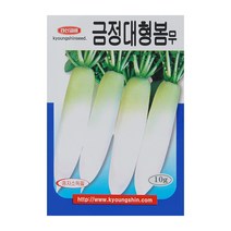 경신종묘 무씨앗 금정대형봄무 10g