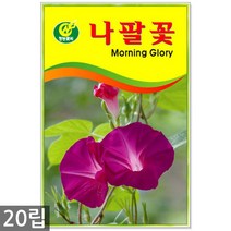 봉선화 50립 - 봉숭아 씨앗 봉선화씨 꽃씨 꽃씨앗 씨앗 씨 야생화씨앗 봉숭아씨, 06_청농_나팔꽃(20립)