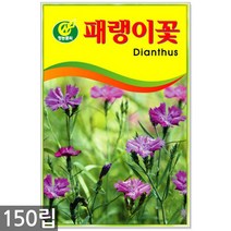 금계국 40립 - 금계국씨 금계국씨앗 꽃씨 꽃씨앗 씨 씨앗 야생화씨앗, 21_청농_패랭이꽃(150립)