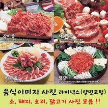 샵앤링크 음식사진 음식사진코팅 육류사진 고기사진 음식이미지, 27_소막창