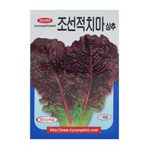 경신종묘 상추씨앗 조선적치마상추 4g