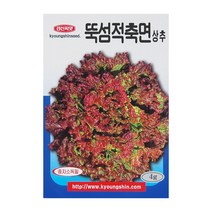 경신종묘 상추씨앗 뚝섬적축면상추 4g