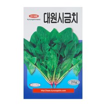 경신종묘 시금치씨앗 대원시금치 20g