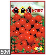 청농종묘 노랑 초당옥수수 씨앗 100립 초당옥수수씨앗 노랑옥수수씨앗 옥수수씨앗 옥수수씨, 09_송송이방울토마토(50립)