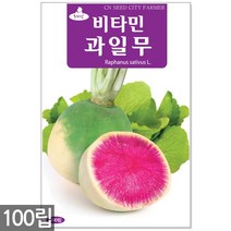 청농종묘 황백 초당옥수수 씨앗 100립 초당옥수수씨앗 옥수수씨앗 초당옥수수씨 옥수수씨, 07_비타민과일무(100립)