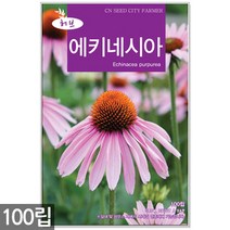 에키네시아 씨앗 100립 / 허브씨앗 에키네시아씨앗 허브씨 허브 여름꽃씨 씨, 09_허브_스피아민트(2000립)
