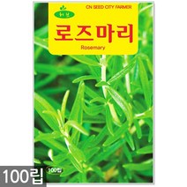 챠빌 씨앗 500립 / 허브씨앗 챠빌씨앗 허브씨 챠빌씨 처빌 허브 향신료, 04_허브_로즈마리(100립)