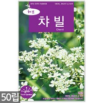 스피아민트 씨앗 2000립 / 허브씨앗 스피아민트씨앗 허브씨 허브 스피아민트씨 씨, 12_허브_챠빌(50립)
