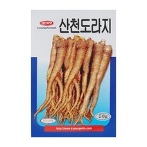 경신종묘 도라지씨앗 산천도라지 50g, 더덕