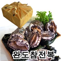 남도전복 전복, Q 1kg(총6~7마리), 1box