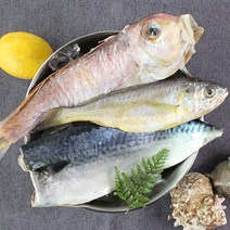 친환경팔도 제주 옥돔 + 참조기 순살고등어 꾸러미, 단품