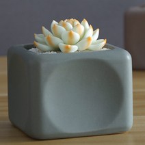 이엘컴퍼니 모던한 디자인 유니크 미니화분, 회록