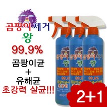 곰팡이제거왕500 2+1, 1개