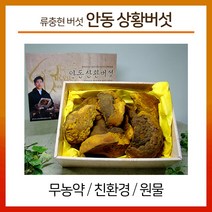 류충현 약용버섯 상황버섯 원물 무농약 친환경 인증 몸에좋은 버섯 물 차 베타글루칸 함유, 300g, 1박스