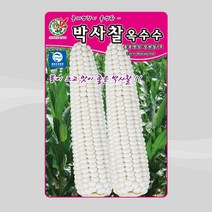 제일종묘 옥수수 씨앗 박사찰옥수수 150립, 1개
