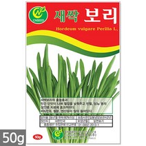 보리 새싹 씨앗 50g / 새싹씨앗 보리씨앗 보리새싹씨앗 새싹보리 보리씨 캣그라스 캣글라스 고양이풀, 12_새싹씨앗_보리(50g)