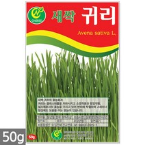 보리 새싹 씨앗 50g / 새싹씨앗 보리씨앗 보리새싹씨앗 새싹보리 보리씨 캣그라스 캣글라스 고양이풀, 03_새싹씨앗_귀리(50g)