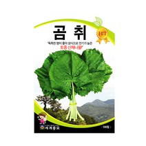 모칸도 세계곰취 100립, 1개