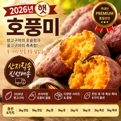 26년 햇 호풍미 고구마, 1박스, 2kg 특상