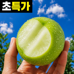 [초특가] 아삭달콤한 청사과 썸머킹 아오리사과