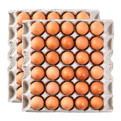 [더싱싱] HACCP 구운계란 구운란 대란