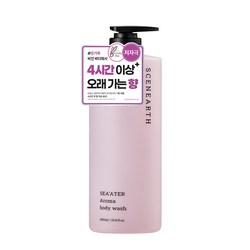 씨널스 씨어터 아로마 퍼퓸 보습 바디워시, 1개, 1L