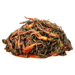 야미김치 여수 전라도 고들빼기 김치, 500g, 1개