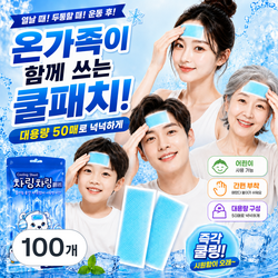 KC인증 붙이는 아이스 쿨패치 어린이 사용가능 가족용 쿨패치, 100개