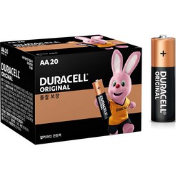 듀라셀 알카라인 AA 건전지, 믿고 쓰는 이유와 비교