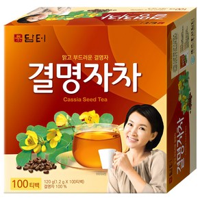 담터 담터에프엔비 결명자차, 1.2g, 100개입, 1개