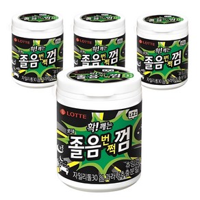 롯데웰푸드 졸음번쩍 껌, 87g, 4개