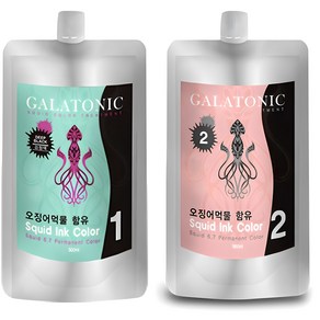 갈라토닉 스퀴드 잉크 칼라 1제 500ml + 2제 500ml 염색제, 2N검정색, 1세트